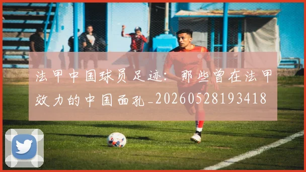法甲中国球员足迹：那些曾在法甲效力的中国面孔_20260528193418
